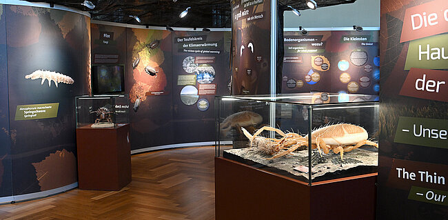 Ausstellung "Unsere Böden", (C) NHM Wien, C. Potter