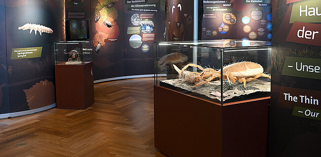 Bödenausstellung