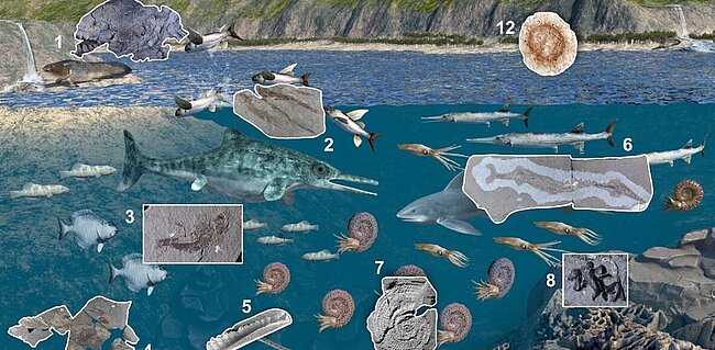 © Alexander Lukeneder/7reasons