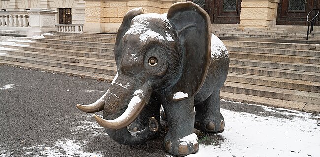 © NHM Wien, Christina Rittmansperger