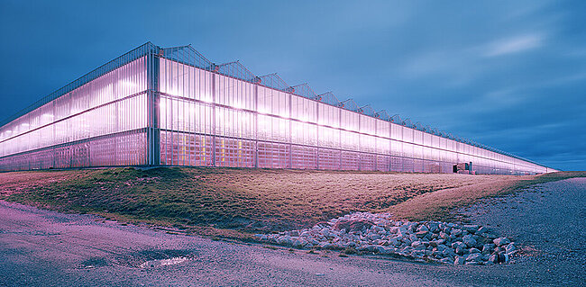 Gewächshaus, Morehead, Kentucky, USA, 2023 