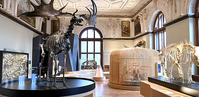 ©NHM Wien, Chloe Potter