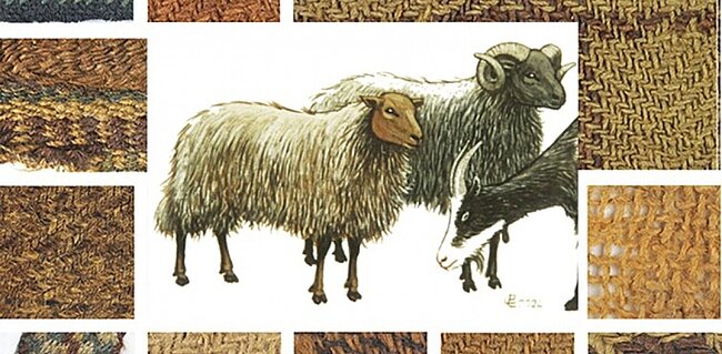 Abbildung von Schafen