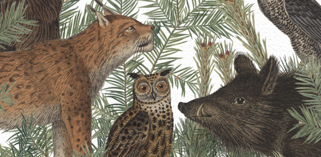 Illustration von Waldtieren