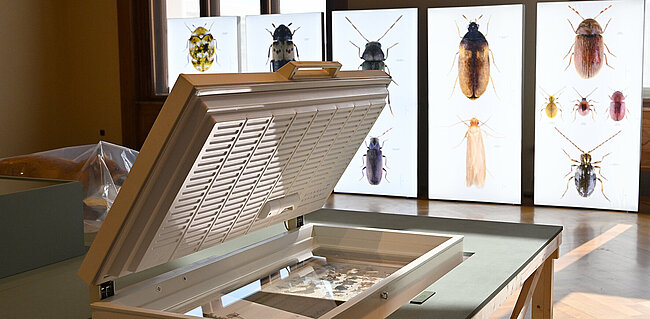 Sonderausstellung "Hier nagt nicht nur der Zahn der Zeit", (c) NHM Wien, Chloé Potter