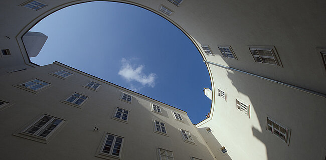 Narrenturm, (c) NHM Wien, Kurt Kracher