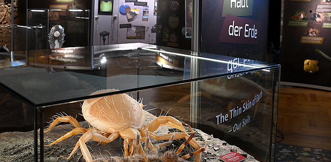 Unsere Böden, (c) NHM Wien, Chloé Potter