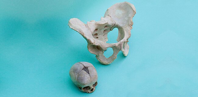 © Magdalena Fischer