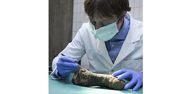 © IEM, UZH, C. Steiner