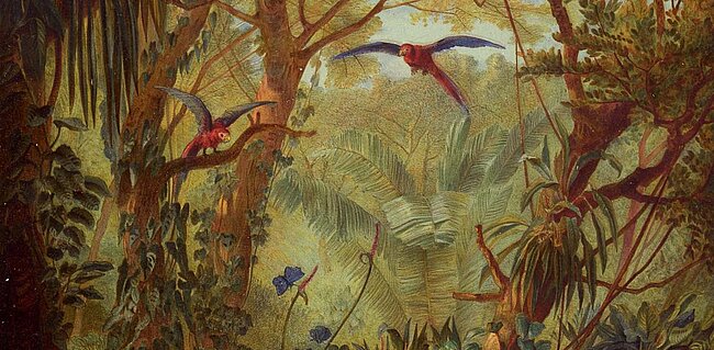Frontispiz von Joseph Selleny, © NHM Wien